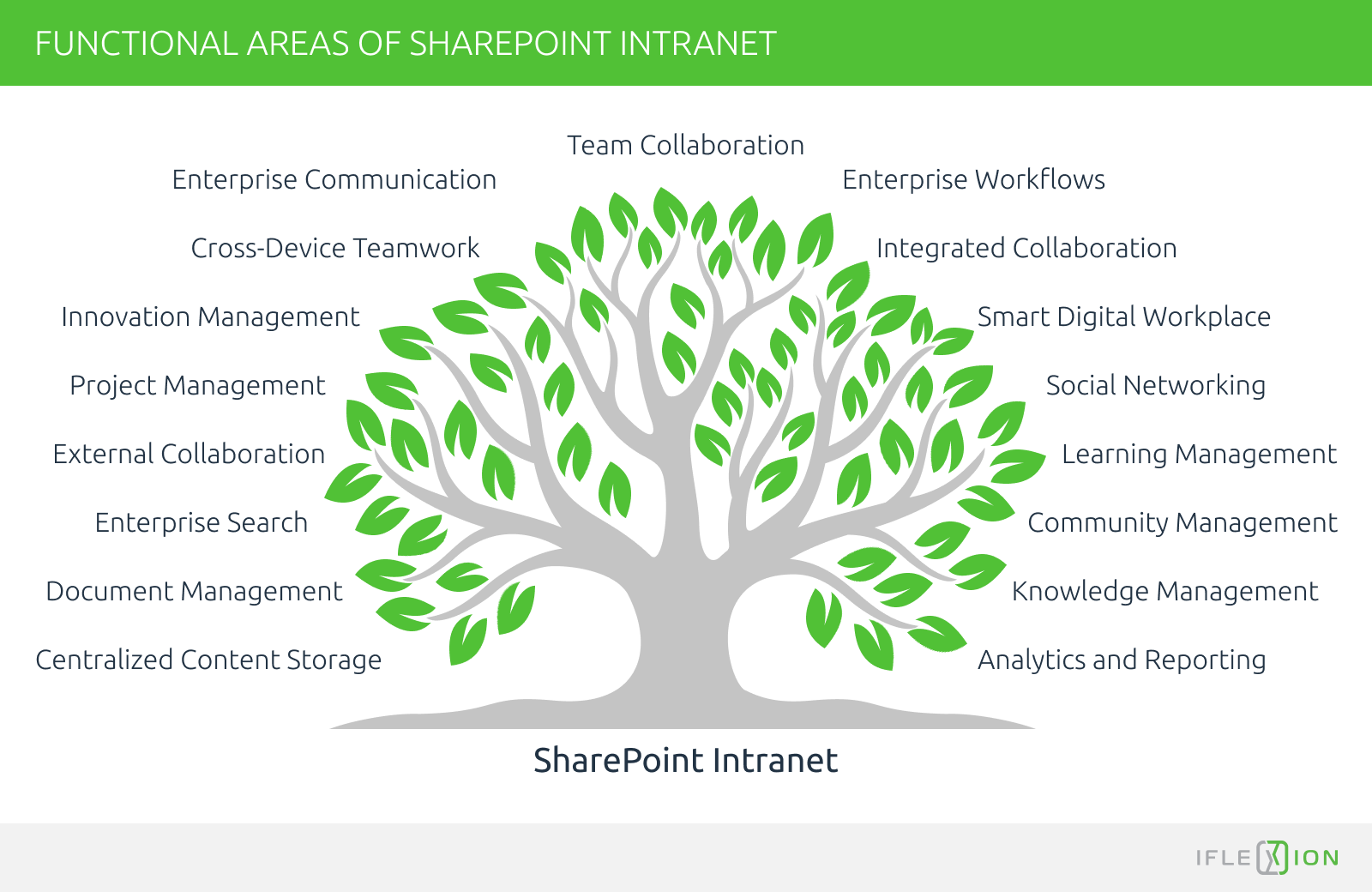 SharePoint functional areas