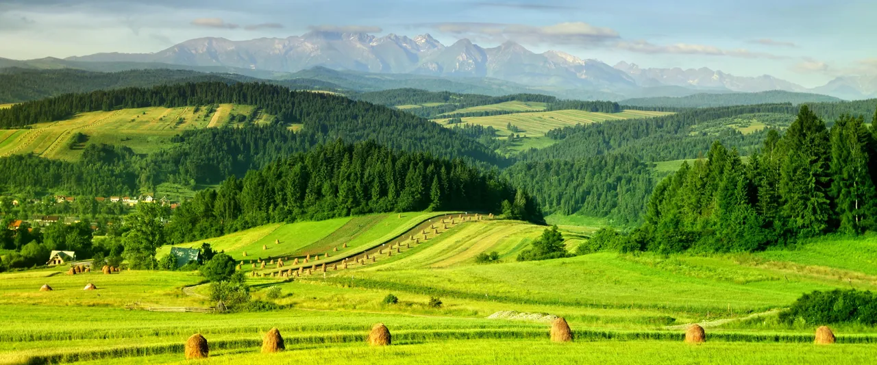 AI in agriculture: use cases, benefits & barriers to adoption